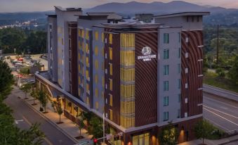 DoubleTree by Hilton Asheville Downtown