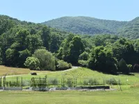 Location.... Location... Location.... Hotels in Yancey County