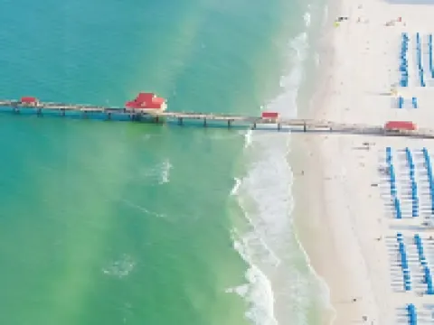 Chic Cottage Walk to Downtown Dunedin & Waterfront Pets Ok- Barefoot Parrot 3 Hotels in Dunedin