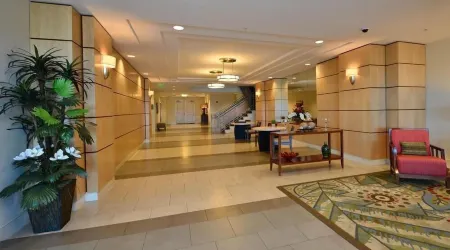 Elegant Direct Oceanfront Condo Relaxation