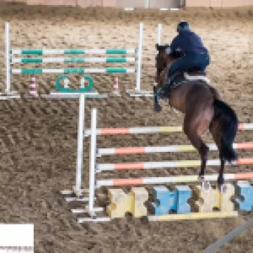 San Giacomo Horses & Agriturismo