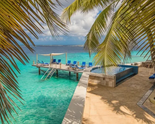 The Bellafonte - Luxury Oceanfront Hotel Hotels in Kralendijk