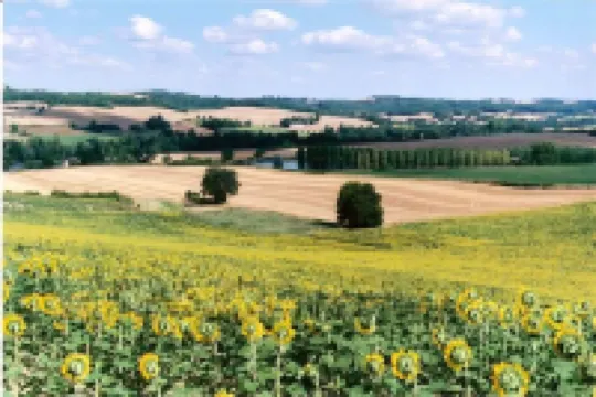 Les Celtes de Gascogne