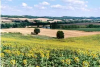 Les Celtes de Gascogne Hotels in Auch