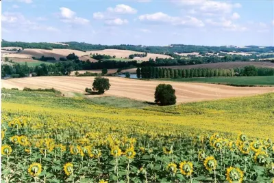 Les Celtes de Gascogne Hotels near I.U.T Paul Sabatier University Institute of Technology