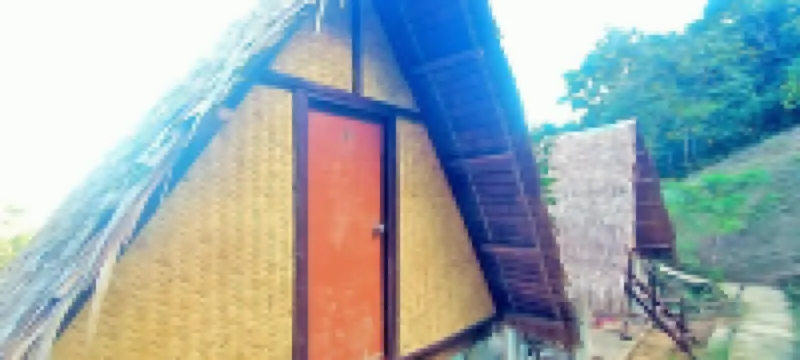 艾爾尼多森林營地