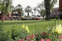 Shadow Mountain Resort & Club - Baarit