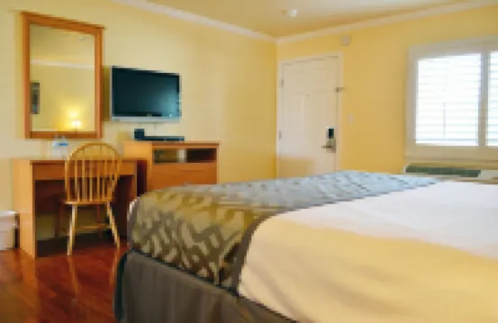 Wittle Motel