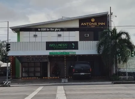 Anton's Inn Отели в г. Батаан