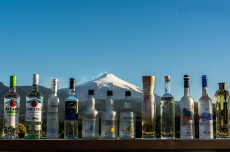 Martina de Goñi Отели рядом с достопримечательностью «Pucon playa Colo Colo.»