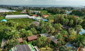 Seogwipo Valley Log House Village