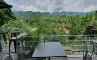 Hotel Ariandri Puncak - Mountain view