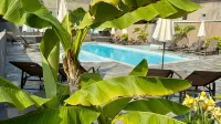 Logis Hôtel Restaurant Bellevue - プール