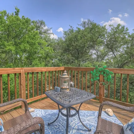 Cactus Flower Treehouse-Pet Friendly-Hill Country Views!