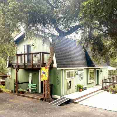 Forest Home with Deck, EV Charger, King Beds Hotel Exterior