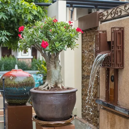 La Seine City Resort, Chiang Mai Отели рядом с достопримечательностью «Храм Чай Монгкол»