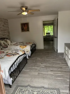 New cabin located on the jacks fork river front. - Chalets