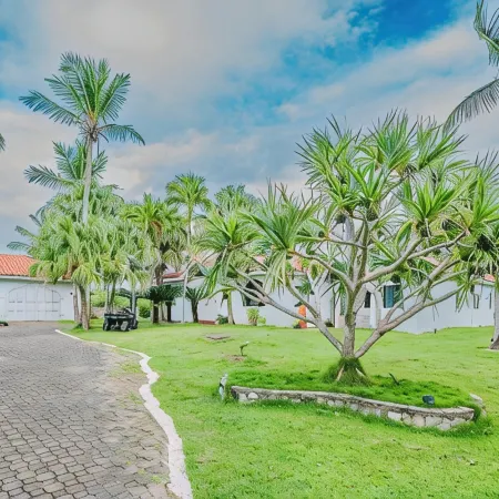 PALM HOUSE LUXURY VILLA - OCEAN FRONT PARADISE