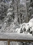 Rustic Cabin Retreat in the Heart of Southern Vermont-escape the hustle/bustle.