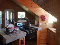 Adorable 1-bedroom apartment in Heber Springs