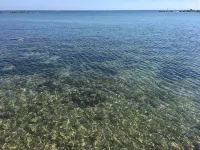 Apartment in Kings Palace with a sunset view and an easy walk to Venus Beach