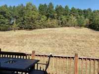 Secluded cabin w/big wrap around deck minutes away from Cossatot River - 2-Star