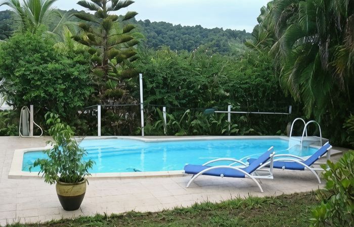 Quiet cottage in beautiful location on the edge of rainforest,