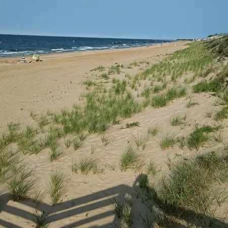 New Beach Home on the Chesapeake Bay