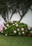Luxury Villa with private salt water pool, near beach, golf courses. Free Wi-Fi - Wi-Fi