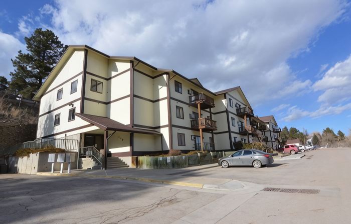 Black Hills Bliss: Fully Remodeled Modern Condo