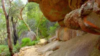 Vista Halls Serene Gap