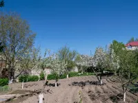 Karin's B&B Ξενοδοχεία στην πόλη 