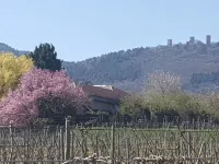 Vineyard flower Eguisheim quiet, 3 min walk from the center Hotels in Eguisheim