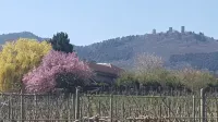 Vineyard flower Eguisheim quiet, 3 min walk from the center