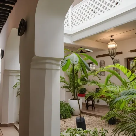Zanzi House