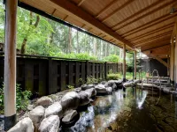 Diamond Hakone Society - suối nước nóng