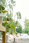 EttSmart Hotell - Pet friendly