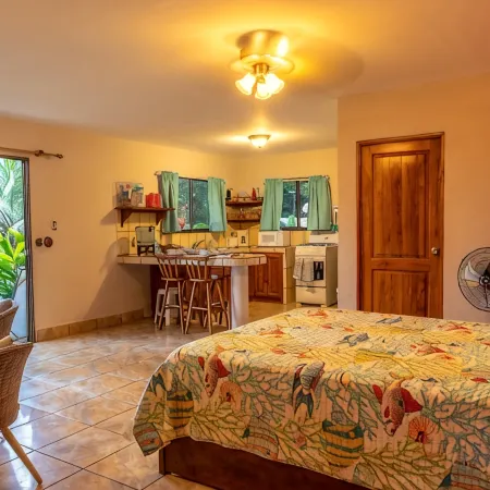 Exotic Iguana Apartmentos 1