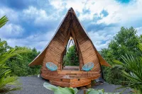 Qasa Boutique Hotel and Retreats - LGBTQ - Wifi