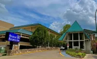 Reagan Resorts Inn - vue sur la montagne