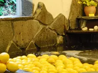 Izukogen Onsen Chiisana Hotel Lemonju โรงแรมใกล้สถานีฟุโต