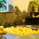 Izukogen Onsen Chiisana Hotel Lemonju