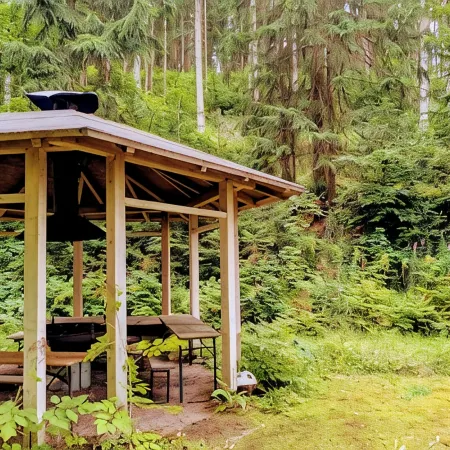 Cozy Hut ''Tannengrün'' in the Middle of the Forest. Pet Friendly!