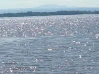 Champlain Islands Lake Front! Prime Week Left Summer 2026! July 26 to August 1 Hotels in Alburgh