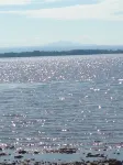 Champlain Islands Lake Front! Prime Week Left Summer 2026! July 26 to August 1