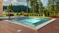 Ana Hotels Bradul Poiana Brasov - balneario