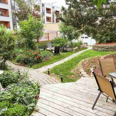 Downtown 3 BDRM Charming Casita Hotel Exterior