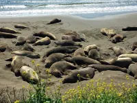 Quality Inn Near Hearst Castle - Beach