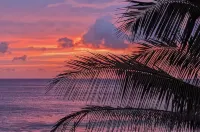 Surrounded by beaches Beautiful Poipu Condo. - 2 estrellas