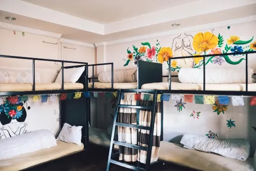 Wanderthirst Hostel - Hostels